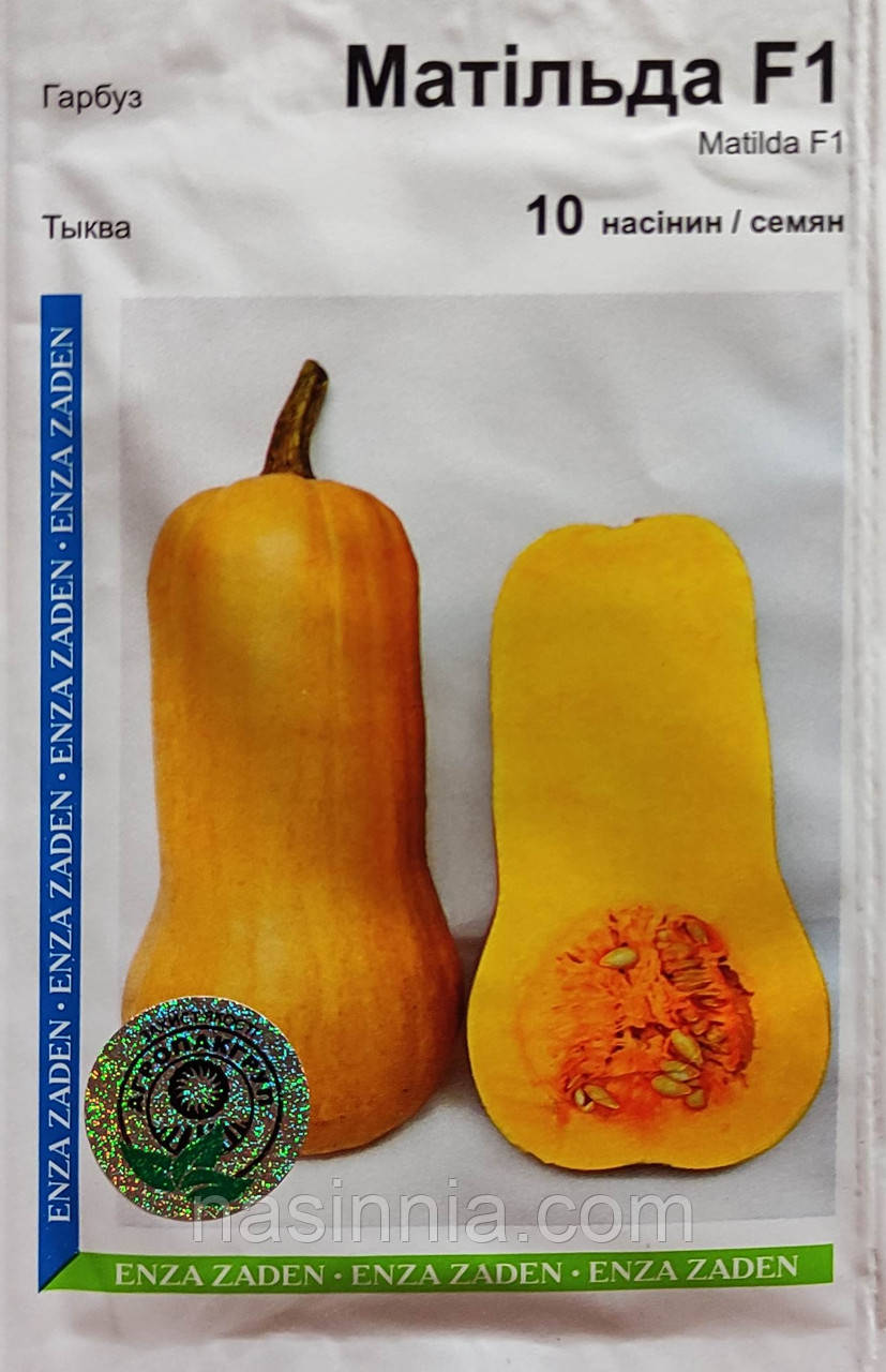 Гарбуз Матильда F1 10 насінин, фото 1