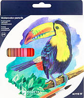 Карандаши цветные акварельные Kite Птицы 24 цвета