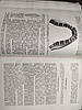 Хірургія практичного лікаря  ока, вуха та зубів 1909 рік W. Muller, фото 9