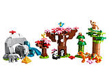LEGO Duplo 10974 Дикі тварини Азії, фото 3