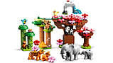 LEGO Duplo 10974 Дикі тварини Азії, фото 4