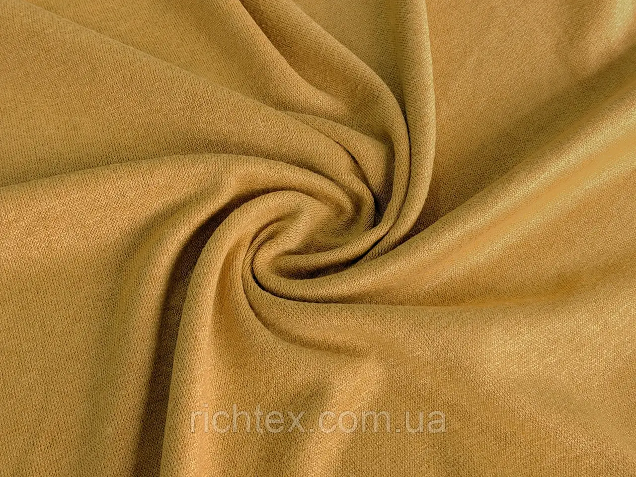 Євро ангора Гірчиця