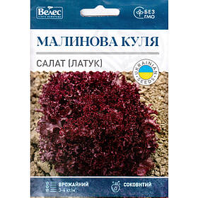 Насіння салату раннього «Малинова куля» (5 г) від ТМ «Велес»