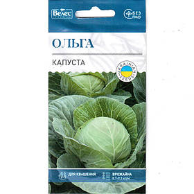 Насіння капусти білокачанної пізньої «Ольга» (1 г) від ТМ «Велес», Україна