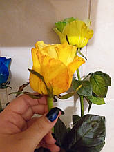 Фарба для зрізаних квітів жовта PreFlower Color 2 мл