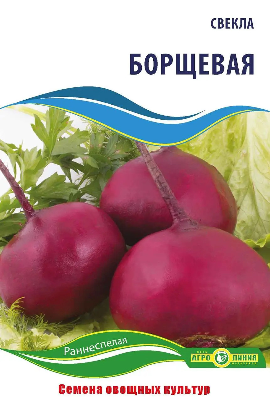 Насіння буряка "Борщовий" 10 г (тм "Агролінія")