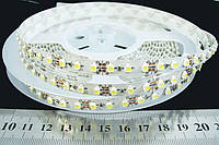 Світлодіодна стрічка 3528-120-IP33-CWd-8-12 R08C0BA (3762)