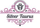 Магазин аксесуарів Silver Taurus.