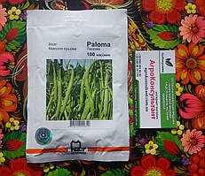 Насіння спаржевої квасолі Палома (Nunhems Zaden / Агропак+), 100 насінин — ультрарання (50-55 днів), кущова