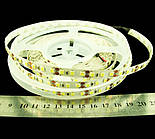 Світлодіодна стрічка 3528-120-IP33-CWb-8-12 RE08C0BA 1 pcb (7417)