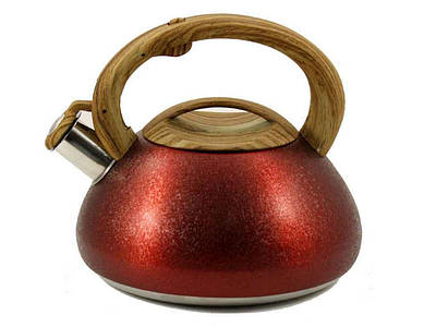 Чайники з неірж. сталі