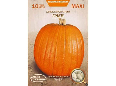 Максі Гарбуз мускатний ГІЛЕЯ 10г (10 пачок) (сс) ТМ НАСІННЯ УКРАЇНИ (насіння) FG