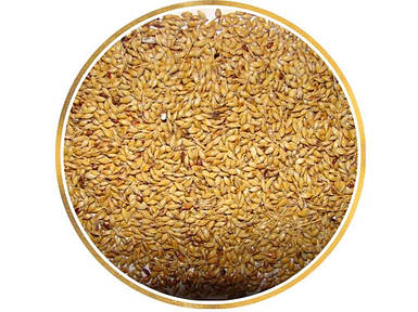 Суданка насіння (в мішку) Білявка тонкостебельна 40кг ТМ УКРАЇНА FG