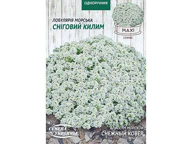 Максі Аліссум морський СНІЖНИЙ КЛИМ 5г (10 пачок насіння) ТМ НАСІННЯ УКРАЇНИ FG