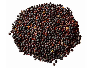 Трава Ріпак озимий РАПС (в мішку) 25кг ТМ НАСІННЯ УКРАЇНИ FG