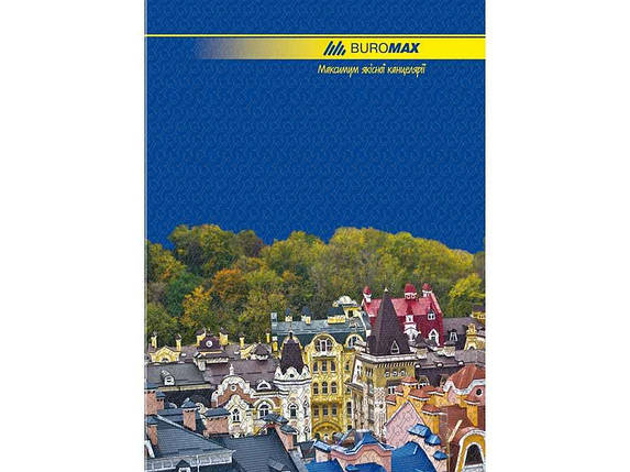 Книга канцелярська 96 арк лін.,оф. А4 BM.2401 ТМ Buromax, фото 1