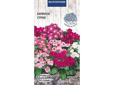 Квіти кімнатні