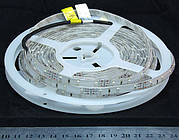 Світлодіодна стрічка 3528-60-IP64-G-8-12 R8860BA (3606)