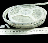 Світлодіодна стрічка 5050-30-IP67-RGB-12-12 R3230AQ (5254)