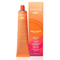 Крем-краска аммиачная для волос Inebrya Сolor №10/13 Platinum Golden Ash Blonde 100 мл (21417L&apos;)