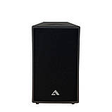 Alex-Audio T12-P350 Пасивна акустична система, фото 2