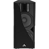 Alex-Audio T215-P1400 Пасивна акустична система, фото 3