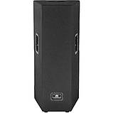 Alex-Audio T215-P1400 Пасивна акустична система, фото 8