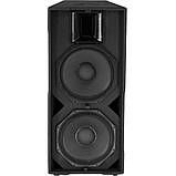 Alex-Audio T215-P1400 Пасивна акустична система, фото 4