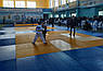 Джудо Мат спортивний Taishan 40 мм Жовтий, фото 9