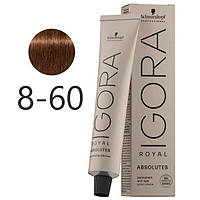 Краска для седых волос Schwarzkopf Igora Absolutes 8-60 Светло-русый шоколадный натуральный 60 мл