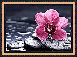 Набір для вишивки бісером Орхідея на камені СРК-007, Preciosa