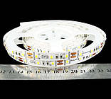 Світлодіодна стрічка 2835-60-IP33-NW-10-12 R0060TA-A (5393)