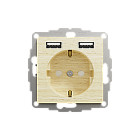 Розетка зі шторками та 2 USB роз’ємами типу A+A, Sedna Design & Elements, Береза- імітація дерева, SDD180052 Schneider Electric