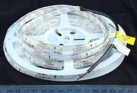 Світлодіодна стрічка 3528-60-IP66-NW-10-12 R6060BA (5425)