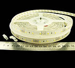 Світлодіодна стрічка 3528-60-IP67-WW-10-12 R3060BA (5144)