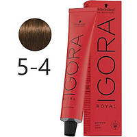 Крем-краска для волос Schwarzkopf Igora Royal 5-4 Светло-Коричневый Бежевый 60 мл