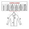 Сорочка чоловіча, приталена (Slim Fit), з довгим рукавом, FITMENS FS-001993 Saks Mavi 97% бавовна 3% еластан, фото 3