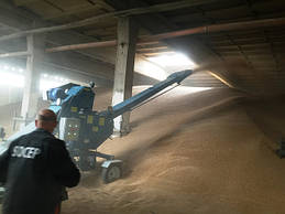 Зернометатель ПЗМ-170 имеет возможность больших регулировок по высоте и легко загружает зерно в наиболее труднодоступные места зернового склада под самый верх.