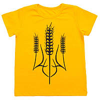 Футболка для мальчика Герб