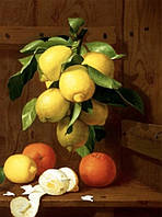 Алмазна вишивка. Картина на підрамнику "Натюрморт з лимонами та апельсинами Худ. Antonio Mensaque" , розмір 40х50