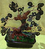 Дерево з монетами — символ достатку, фото 3