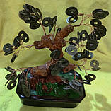 Дерево з монетами — символ достатку, фото 4