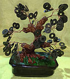 Дерево з монетами — символ достатку, фото 5