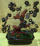 Дерево з монетами — символ достатку, фото 7