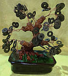 Дерево з монетами — символ достатку, фото 9