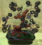 Дерево з монетами — символ достатку, фото 10