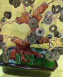 Дерево з монетами — символ достатку, фото 6