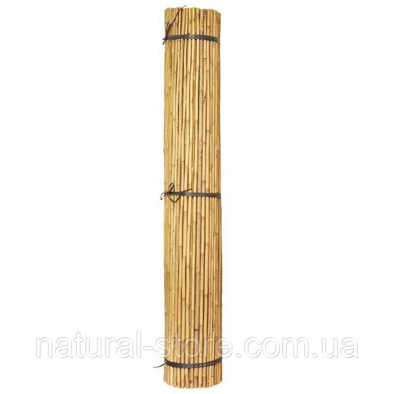 Бамбуковий стовбур L 2,1 м д. 10-12мм. палиця, опора для підв'язки рослин, помідорів