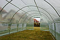 Теплиця з вікнами 24 м2 = 800 * 300 * 200 Парник.Польща, фото 4