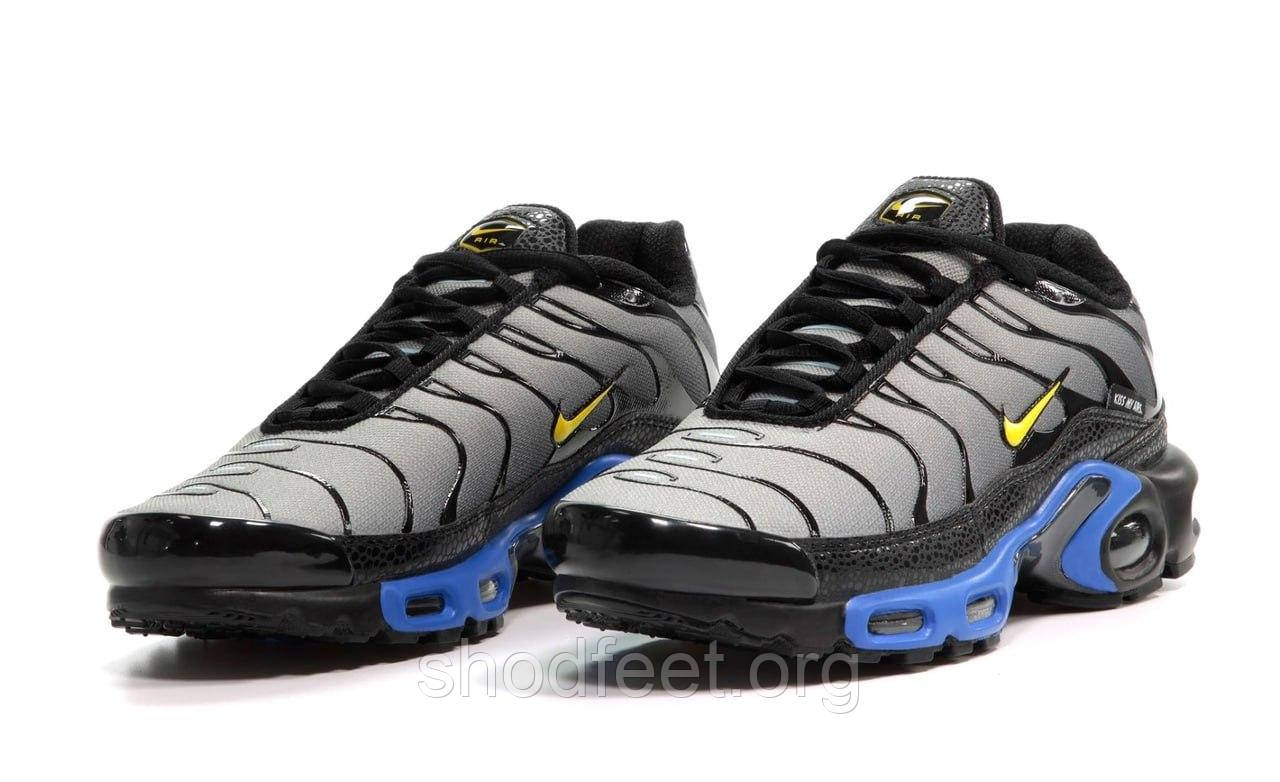 Чоловічі кросівки Nike Air Max Tn Plus Grey Blue